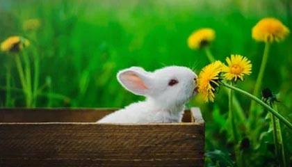 九州娱乐|篮球赛事v3.1.6